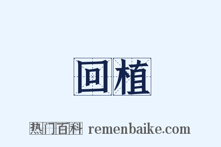回植是什么意思的图片